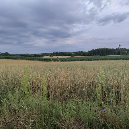 Widny Jas Zaprasza Z Psem Nad Jezioro Na Kaszubach Villa Suleczyno Exterior photo