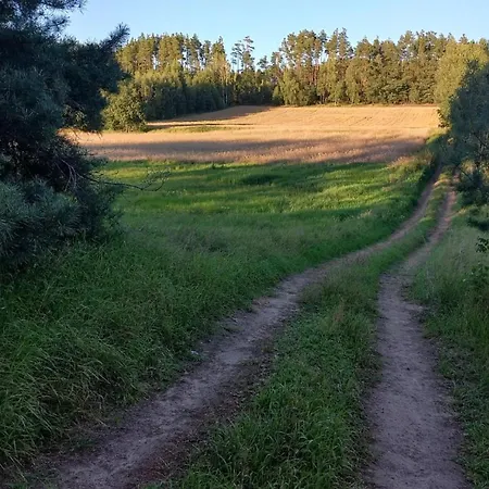 Widny Jas Zaprasza Z Psem Nad Jezioro Na Kaszubach Villa Suleczyno Exterior photo