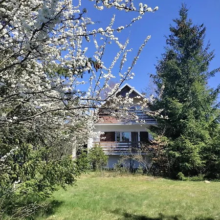 Widny Jas Zaprasza Z Psem Nad Jezioro Na Kaszubach Villa Suleczyno Exterior photo
